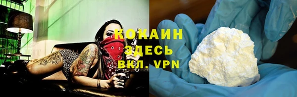 индика Абаза