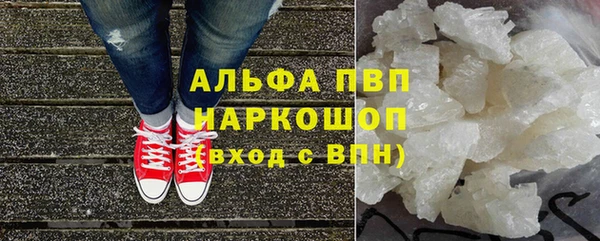 индика Абаза