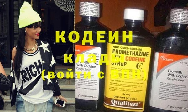 индика Абаза