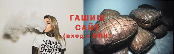 индика Абаза