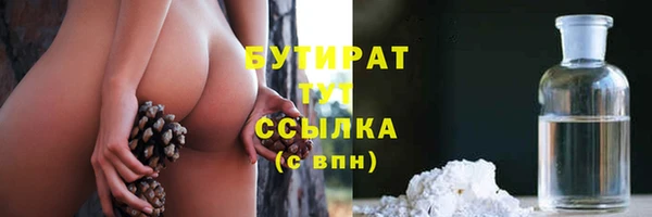 индика Абаза