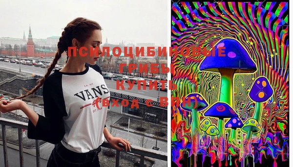 гидра Алзамай