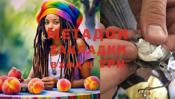 индика Абаза