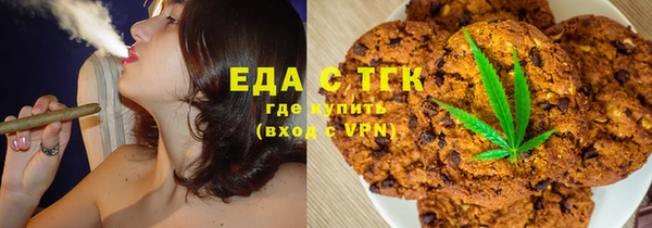 индика Абаза