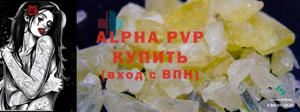 индика Абаза
