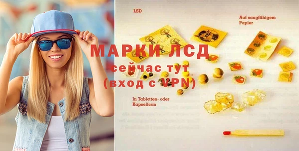 индика Абаза