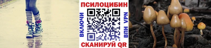 Псилоцибиновые грибы мухоморы продажа наркотиков Краснозаводск